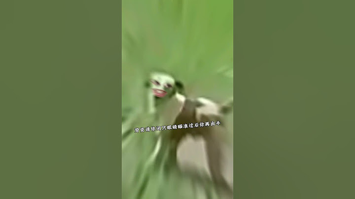 不怕神一样的对手就怕猪一样的队友，真的是服了！#贵州方言说唱 #意想不到的结局 #看一遍笑一遍 #动物倒霉瞬间 #动物成精系列