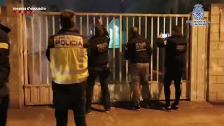 Golpe a la mayor red china de tráfico de marihuana afincada en Catalunya