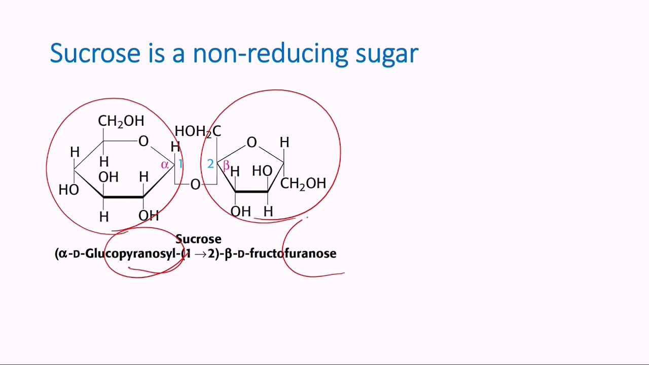 reducing sugar or nonreducing sugar