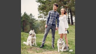 Pet Harmony in Chill Rhythm