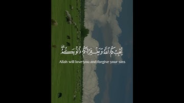 #تلاوة_مؤثرة #اكسبلور #القرآن_الكريم #راحة_نفسية #حالات_واتس #لايك #explore #تيك_توك