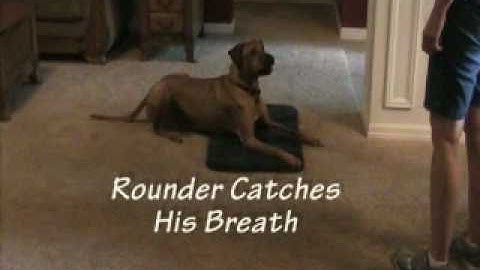 CU Game - Off Switch