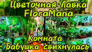 Большой обзор растений /Цветочная лавка FloraMana