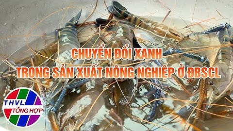 Nông nghiệp bền vững: Chuyển đổi xanh trong sản xuất nông nghiệp ở Đồng bằng sông Cửu Long