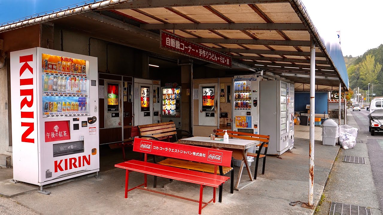 とんとん とんとん Adidas x Ninja ZX Torsion