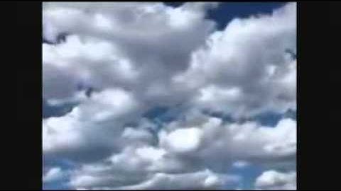سورة "ق" | انس الغامدي