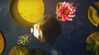 Transição Santa Missa Globo Repórter 20042025 - Rbs Tv Rsglobo Rs