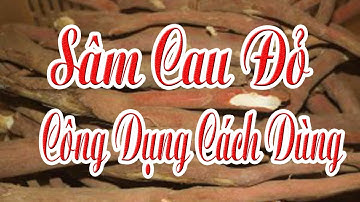 Sâm Cau đỏ là gì , Cách sử dụng sâm cau đỏ như nào là tốt