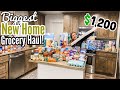 $1,200 MASSIVE GROCERY HAUL! | EMPTY PANTRY STOCK UP | JULIA PACHECO