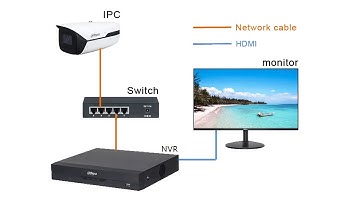 Show the Dahua IPC Camera NVR and Swtich plug and play
