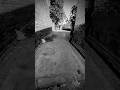 Horror View Real 😱😱#use_a1 #trending#youtube #babyduck #viral #growth#horror#youtubeshorts #shorts
