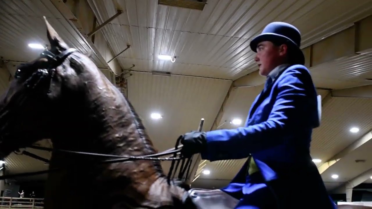 Nic and Oliver in Class 14 - ASB 5 Gaited Country Pleasure at Dayton Horse Show in Springfield, OH