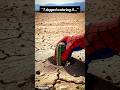 I Planted a Cactus in the Desert 🌵 - Time Lapse