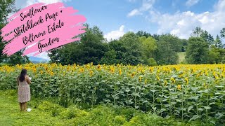 Sketchbook Time Lapse & Biltmore Estate Sunflowers