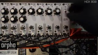 Download lagu ORPHO MODULAR DRUM I ANALOG EURORACK DRUM MACHINE IN DOEPFER FRAME ORPHO MODULAR DRUM I ANALOG EURORACK DRUM MACHINE IN DOEPFER FRAME