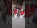 مزود بسكرة فرقة الواحات بسكرة