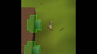 Misclick a gnome | A Chunky Boys short Misclick a gnome | A Chunky Boys short