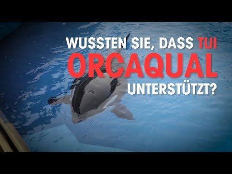 Wussten Sie, dass TUI am Leid der Orcas verdient? / PETA