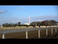 最後の荒尾競馬(第1レース)