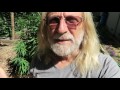 Cannabis Cultivation: Irrigation and Reading Marijuana Leaves