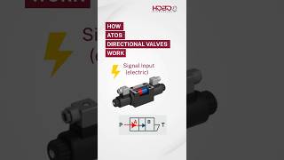 Why Atos Directional Valves Are The Backbone Of Industrial Hydraulic Systems