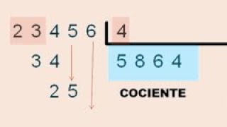 Division de numeros naturales entre 4 para niños de primaria