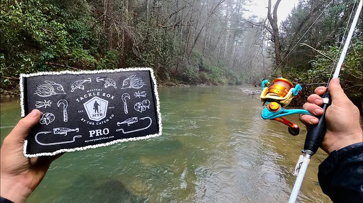 Eating Only What I Catch With a MYSTERY TACKLE BOX! (24hrs)