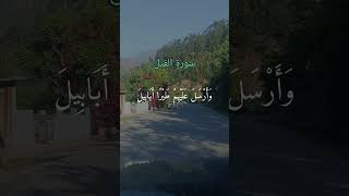 Hastag☝️#isalam# islamic#islqmicreminders#youtube#explorereels Related hastags☝️#quran#quranverses