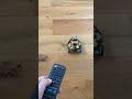 IRリモコンで動く車