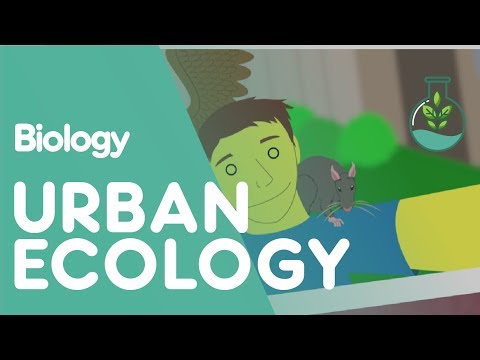 What Is Urban Ecology? | Ecology & Environment | Biology | FuseSchool Instructional Video What Is Urban Ecology? | Ecology & Environment | Biology | FuseSchool Instructional Video