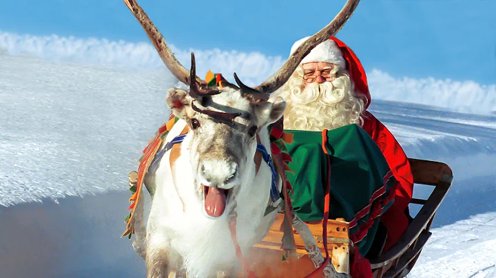 Renne di Babbo Natale in Lapponia Finlandia: Santa...