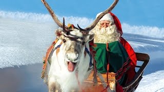 Video thumbnail of "Renne di Babbo Natale in Lapponia Finlandia 🎅🦌 Santa Claus Rovaniemi video per le famiglie Rovaniemi"