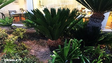 How to Automatically Empty Trash in Mac OS After 30 Days