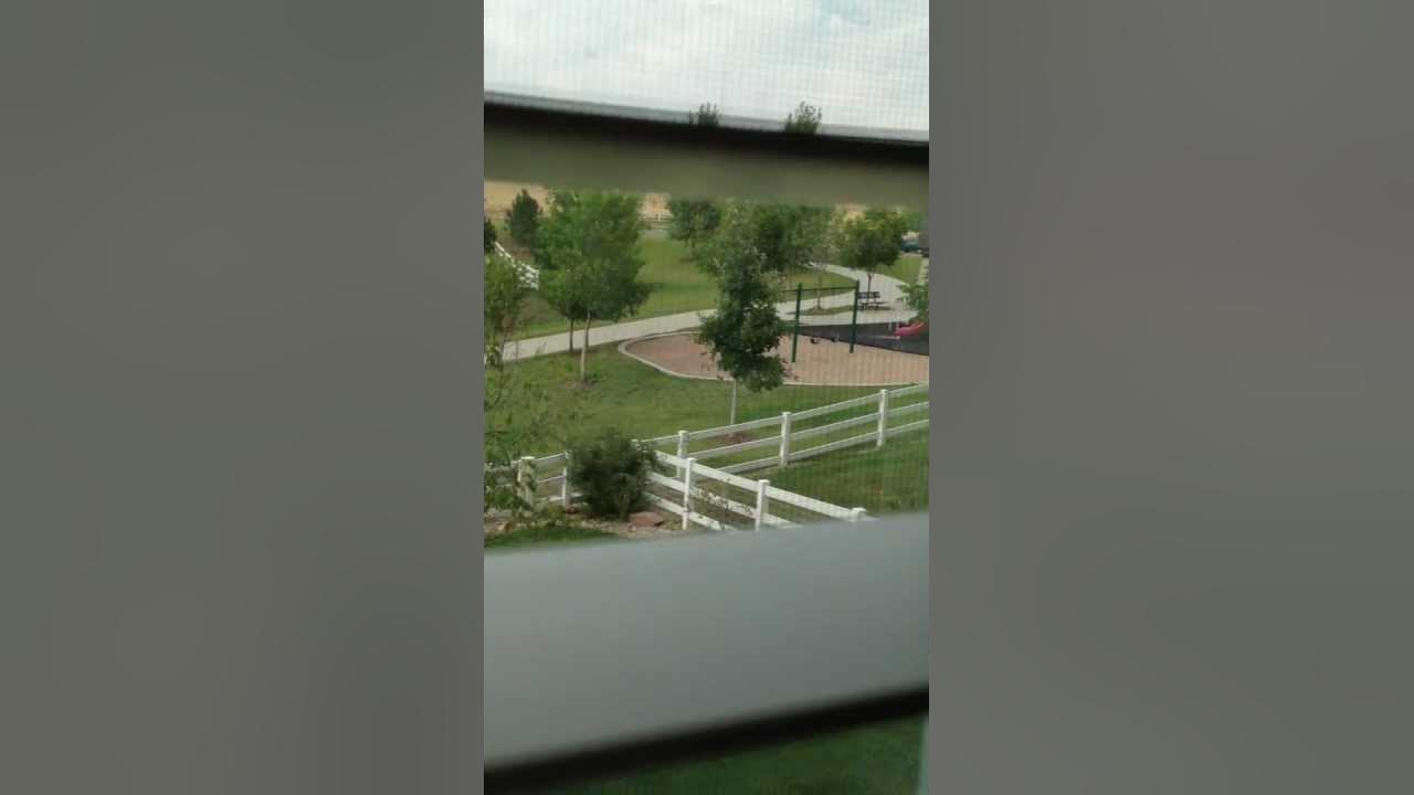 House for RentAurora, Co 80013Property Alliance, Inc. YouTube