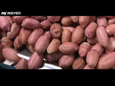 CASHEW KERNELS SORTING MACHINE