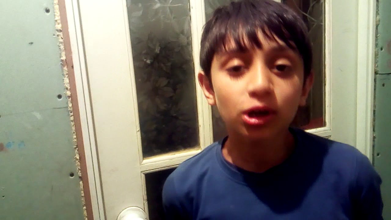 Семья пикуза после проекта