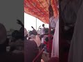 هيثم زمراوي حفل ام الطيور هيثم زمراوي حفل ام الطيور