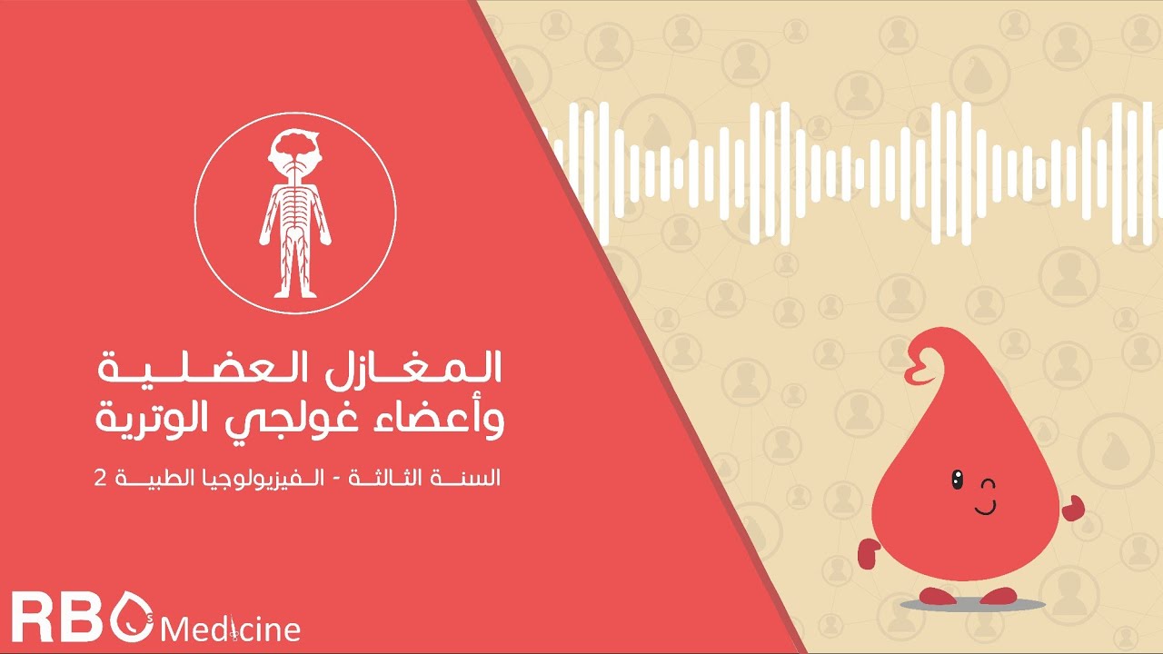 المغازل العضلية وأعضاء غولجي الوترية