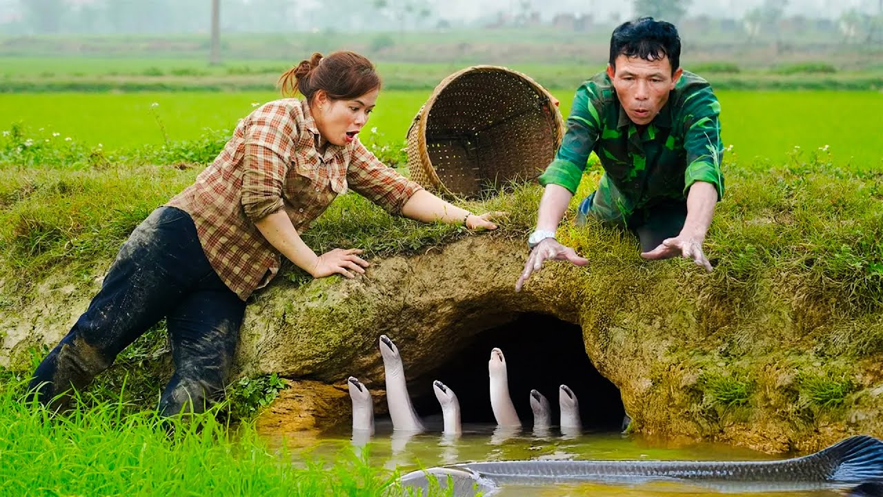 Shocking Discovery: Woman Finds Dozens of Hybrid Python Fish Hiding Underground - Fish Processing!