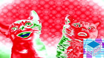 Preview 2 Numa Cat Effects | iiSharkBus