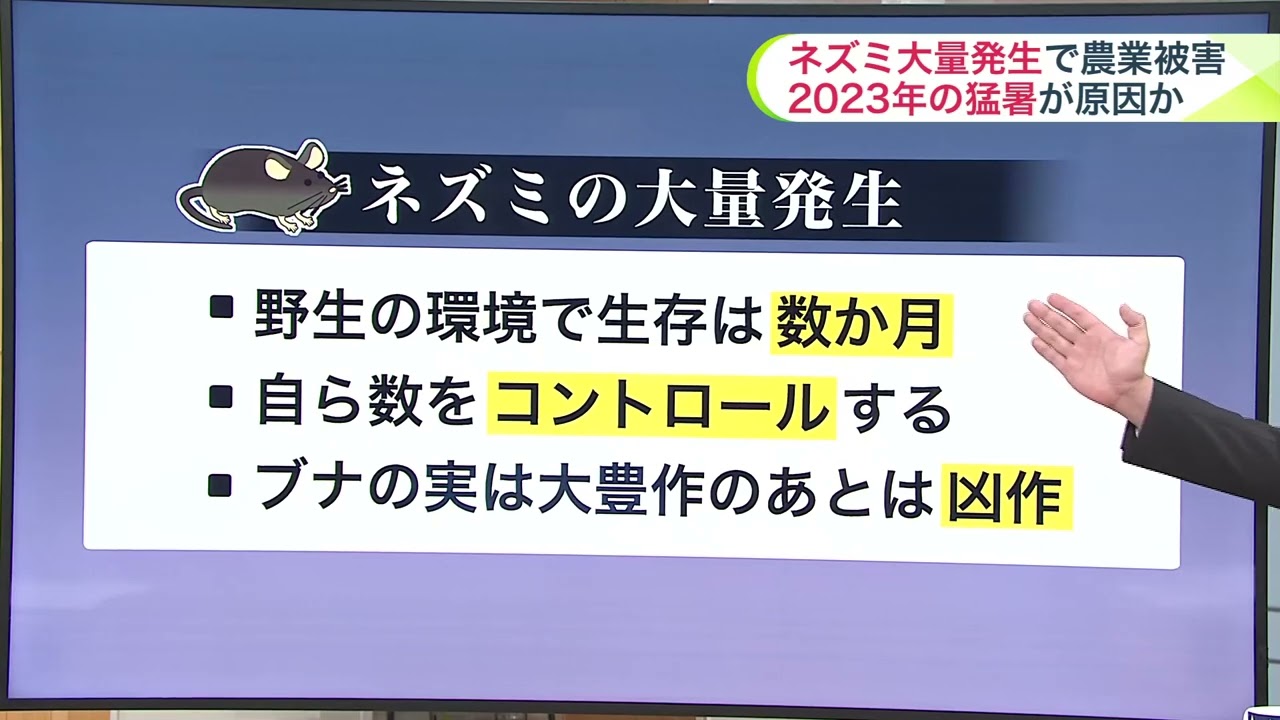 Mice - Multi only - YouTube