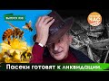 Пасеки готовят к ликвидации. Сельский час #35 (Игорь Абакумов)