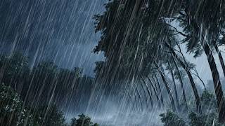 Heavy Rain and Strong Wind Sounds at Night 🌧️💨 | Deep Sleep, Relax, Stress Relief ASMR for sleep