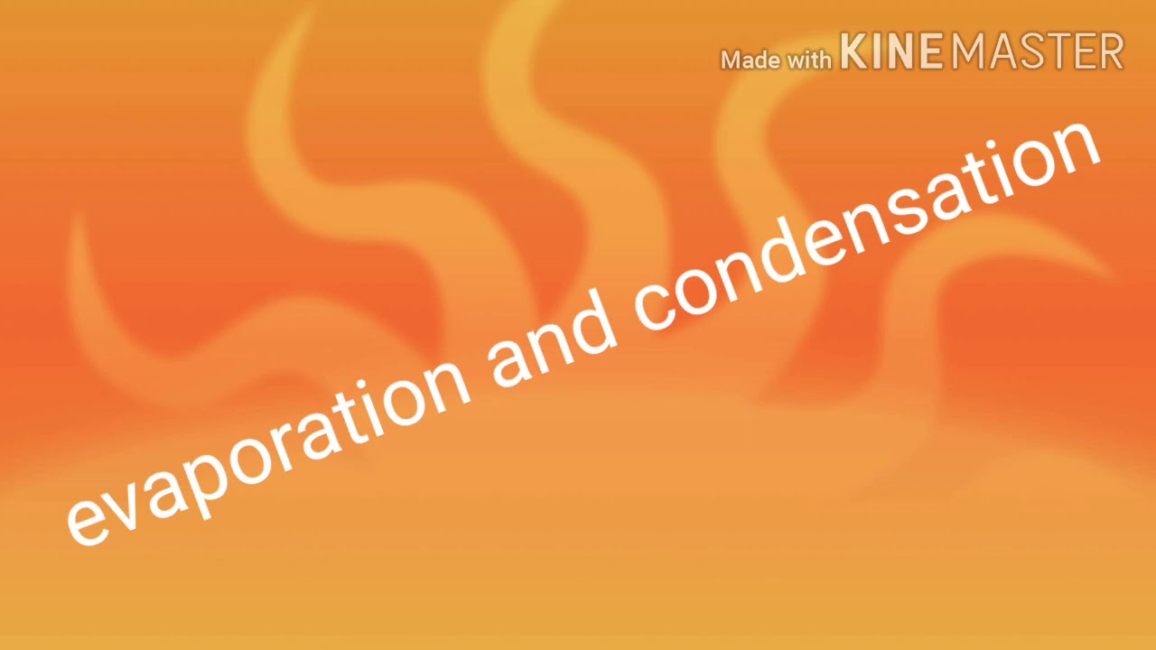 Evaporation class5 YouTube
