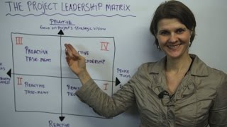 The Project Leadership Matrix - Leadership Training screenshot 3