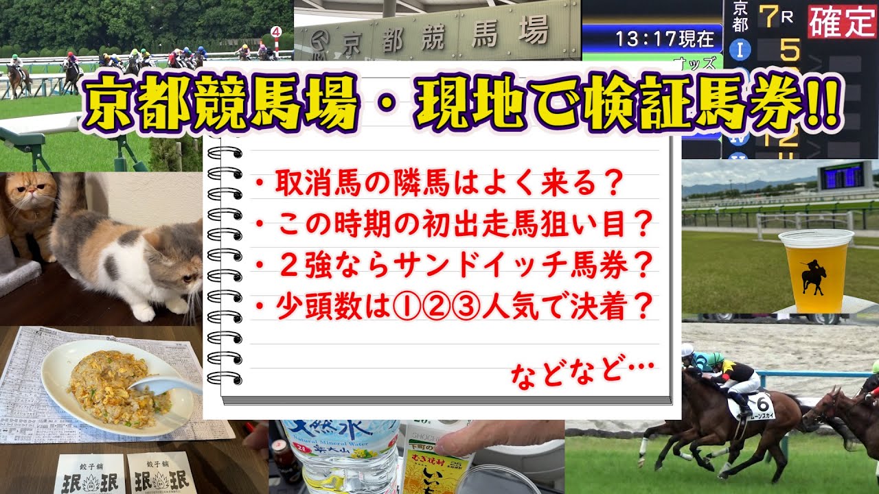 【競馬】さぁ、炸裂したのはどの検証馬券！？
