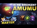 TESTING OUT IF AMUMU IS ACTUALLY "BROKEN" - Duo to Master | League of Legends