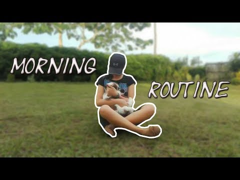 Morning Vlog