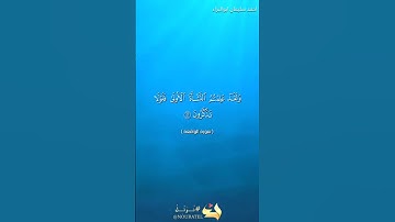 الواقعة ٦١ و ٦٢ ، من صلاة التراويح #احمد_سليمان_ابوالبراء #اكسبلور #راحة_نفسية #تلاوة #explore