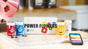 Power Flowers: the food coloring system